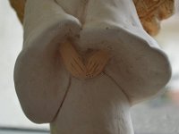 DSC 0040