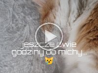 jeszcze dwie godziny do kolacji