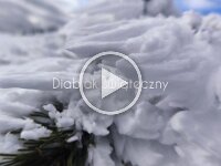 Diablak122025  Diablak świąteczny