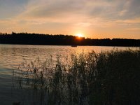 IMG 20200810 193523