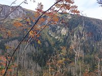 IMG 20201010 090505