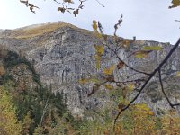 IMG 20201010 094355