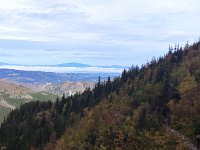 IMG 20201010 094824