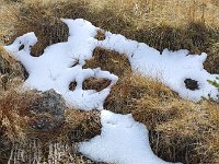 IMG 20201010 120550