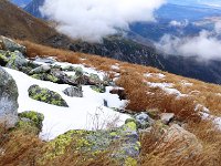 IMG 20201010 123050