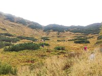 IMG 20201010 151708