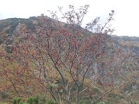 IMG 20201010 153557