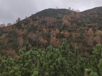 IMG 20201010 153600