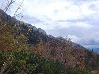 IMG 20201010 153916