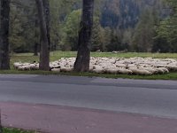 IMG 20201010 180021
