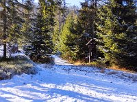 IMG 20201213 115141