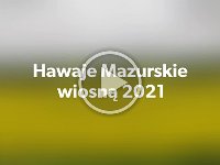 QUIK 20210525 173132  Hawai