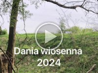 WYQV6416 : Dania wiosenna
