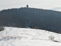 DSC 0098