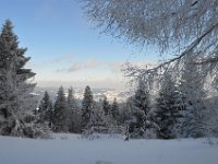 DSC 0401