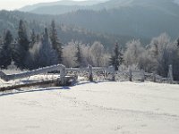 DSC 0432