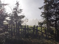 IMG 20201111 122641