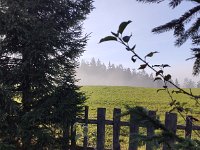 IMG 20201111 122748