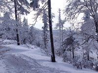 IMG 20210131 140417