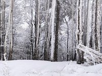 IMG 20210131 140434