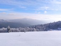 IMG 20210131 141536