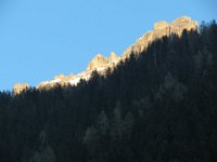 IMG 4954