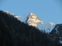 IMG 4955
